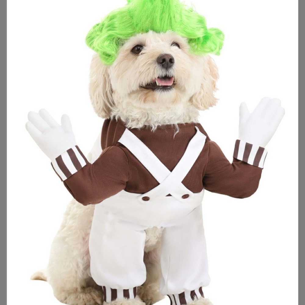 Oompa Loompa Dog Costume size xl